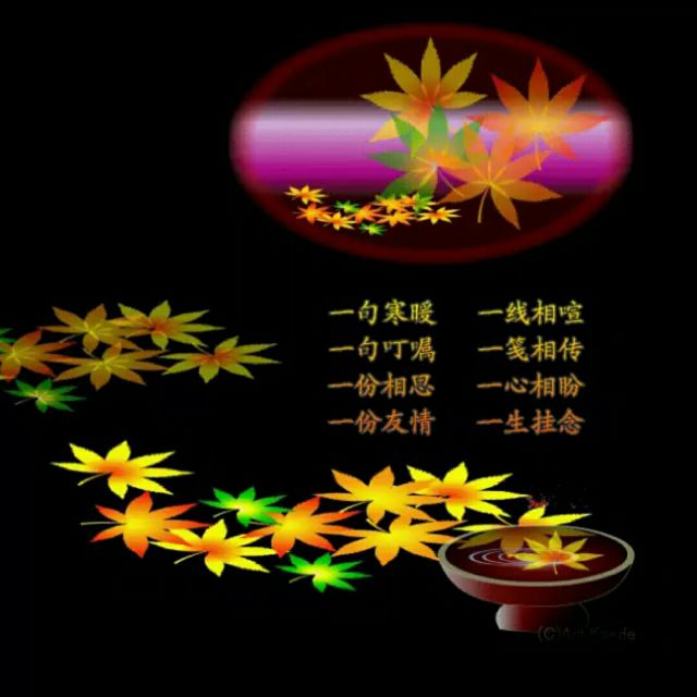 你的爱不离不弃