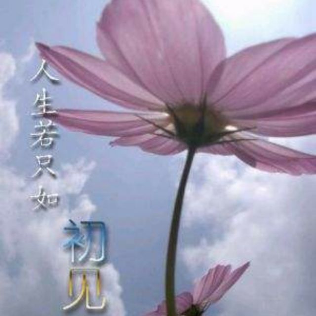 人生若只如初见 - 淡然拒币 唱吧,玩音乐,就上唱吧!