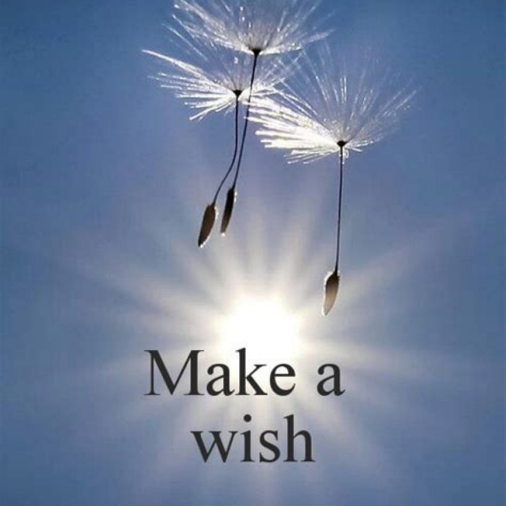 make a wish