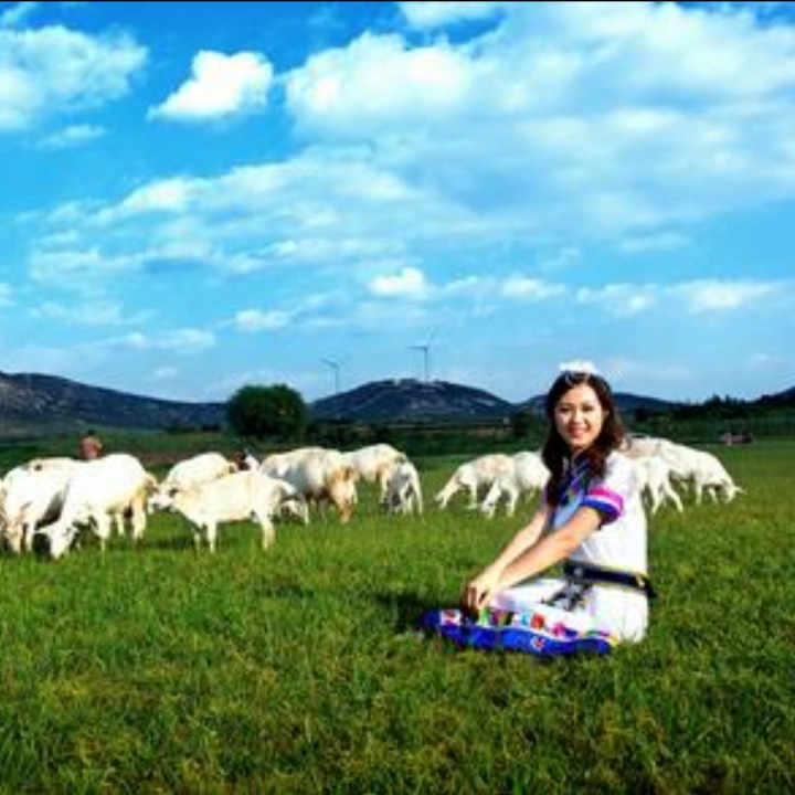 可可西里牧羊姑娘图片