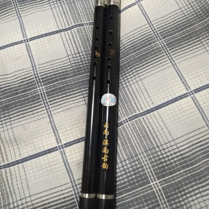 女儿情纯伴奏F降B