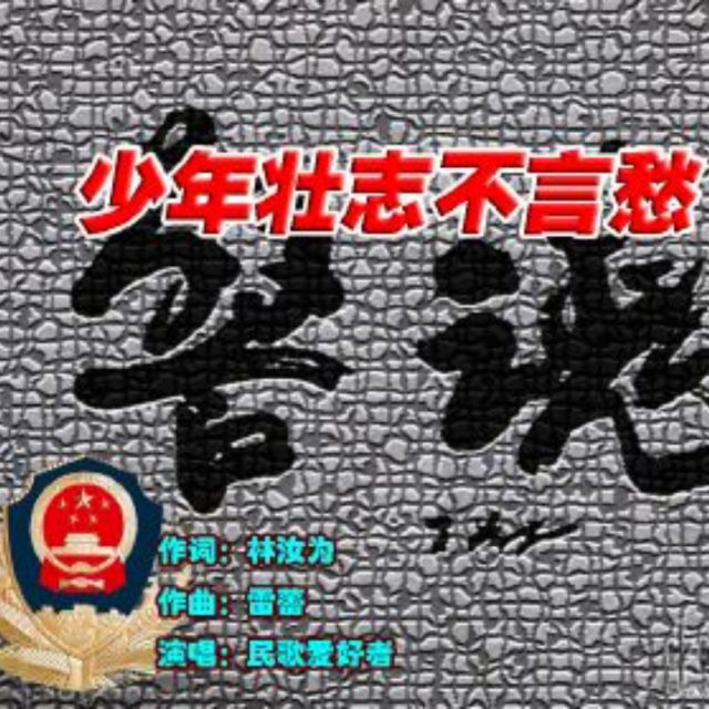 少年壮志不言愁新版