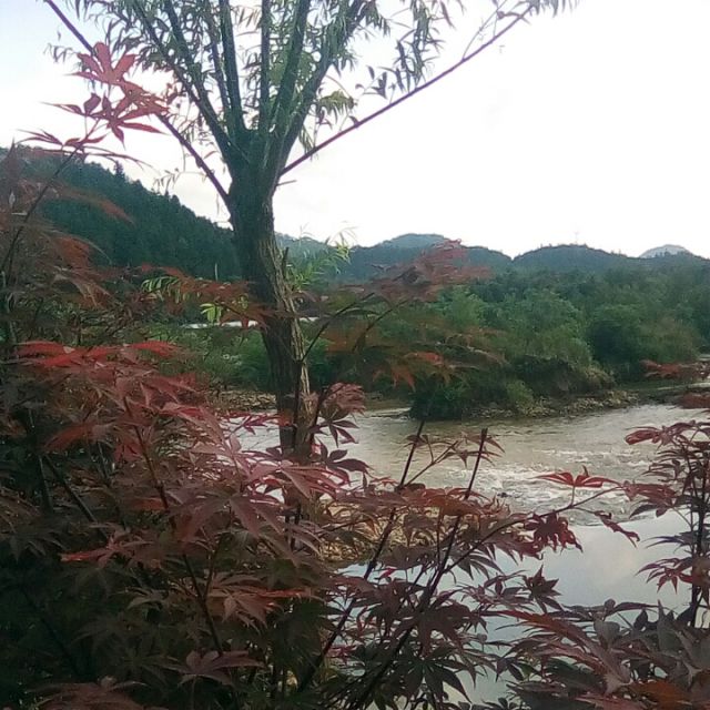 主恩满满【电音欢快版】