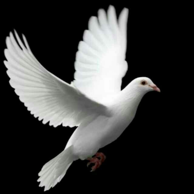 握手(踏上十字架的道路)